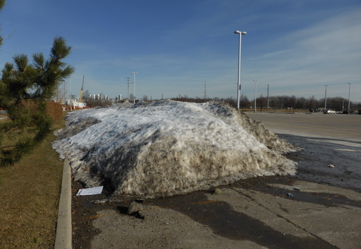 Der letzte Winter war in der Region Toronto sehr kalt - überall liegen noch Schneereste